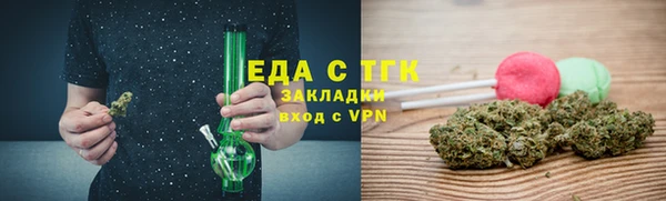 индика Горняк