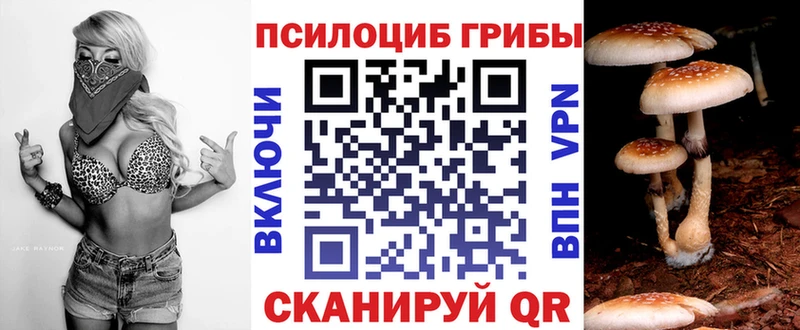 Псилоцибиновые грибы мухоморы  площадка телеграм  Куровское 